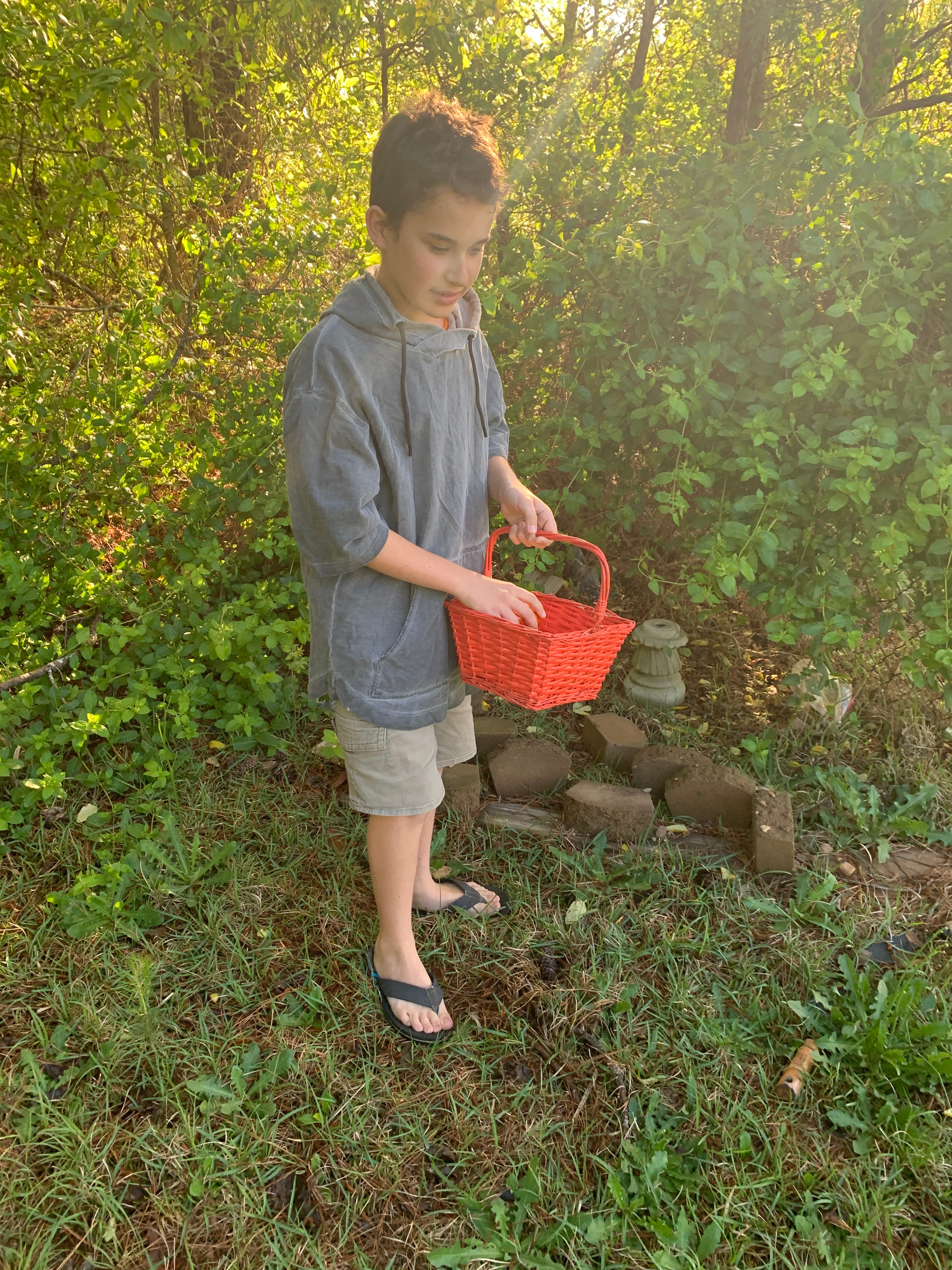 Egg Hunt